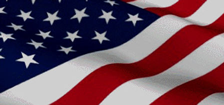 american-flag-animated-gif-2_edited.jpg