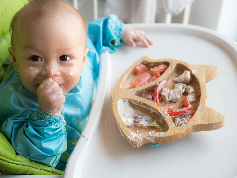 Baby eating by hands Baby eating organic bio vegetables with BLW method baby led weaning