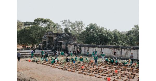Berbagai macam pohon dan ribuan bibit semak ditanam di area Ratu Boko untuk mengatasi gersang dan menambah keindahan. (Dok. Bakti Lingkungan Djarum Founfation)