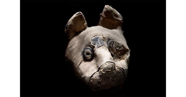 Mumi kucing dari Mesir Kuno. (Andrea Izzotti/Shutterstock).