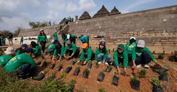 Penanaman ribuan pohon di area Candi Ijo. (Dok. Bakti Lingkungan Djarum Foundation).