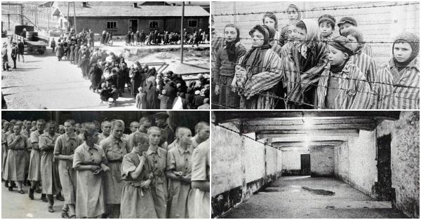 Kolase para korban holocaust yang mayoritas berakhir di kamar-kamar gas. (ushmm.org/yadvashem.org).