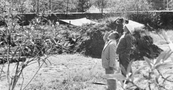 John Rabe (bertopi putih) bersama kolega-koleganya saat menyaksikan pesawat Jepang berseliweran di langit Nanking (The Good Man of Nanking)