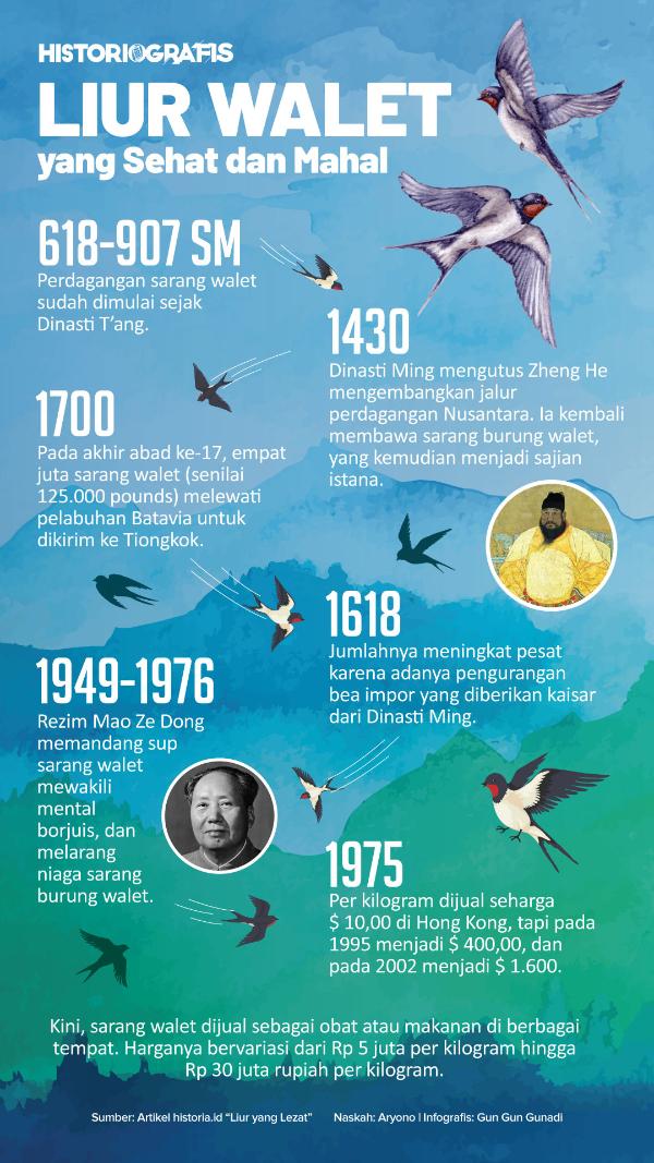 Infografis Liur Walet yang Sehat dan Mahal