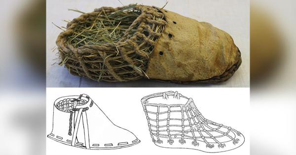 Koleksi The Victoria and Albert Museum