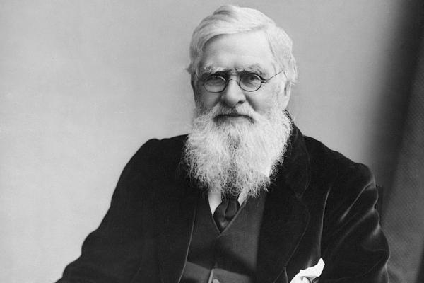 Alfred-Russel-Wallace tahun 1895. (Wikimedia Commons).