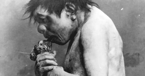 Rekonstruksi manusia prasejarah sedang makan daging di The Chicago Field Museum (Henry Guttmann Collection/Hulton Archive/Getty Images)