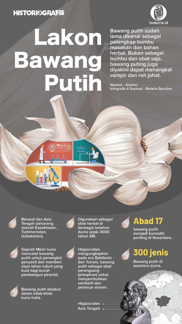 Infografis Lakon Bawang Putih
