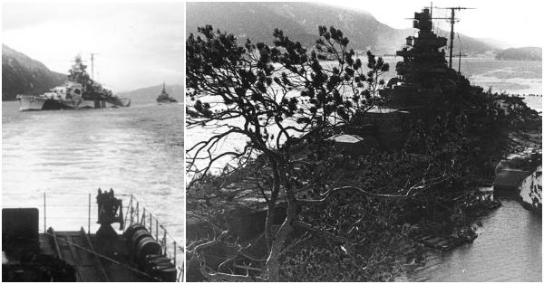 Tirpitz dalam kawalan kapal-kapal perusak (kiri) & saat dikamuflasekan dengan pepohonan dan dedaunan (Naval History and Heritage Command/Bundesarchiv))