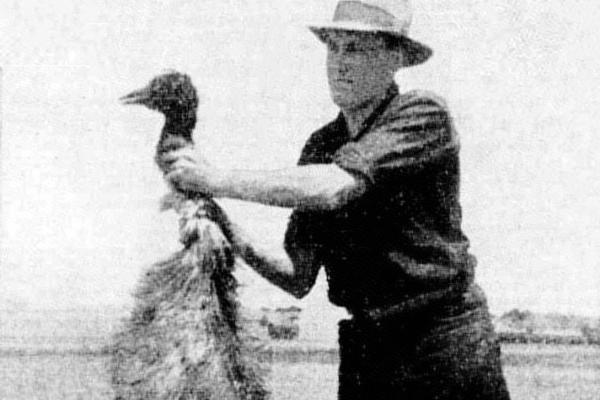 Seorang pria memegang burung emu yang mati dibunuh tentara Australia. (Wikimedia Commons).
