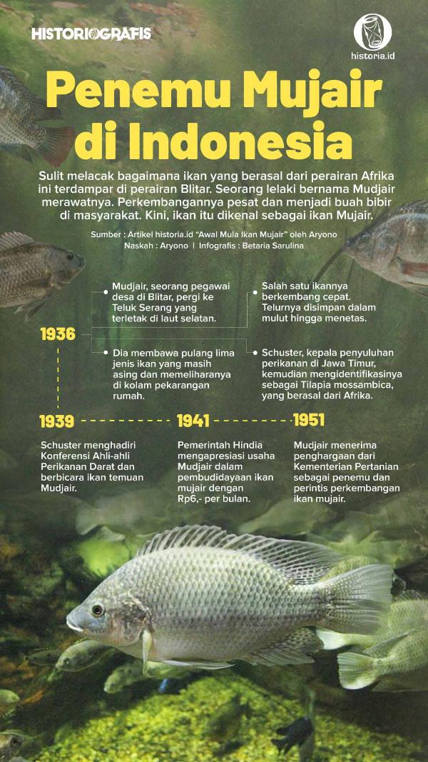 Ilustrasi Penemu Mujair di Indonesia