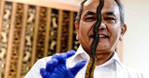 Semua staf museum takjub usai melihat sendiri keris tersebut. (Fernando Randy/Historia).