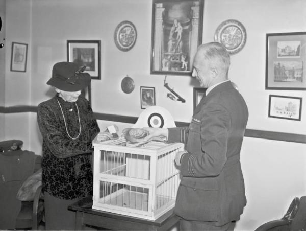 Maria Dickin, pendiri People's Dispensary for Sick Animals (PDSA), menghadiahkan Medali Dickin kepada merpati pembawa pesan, Winkie, pada Februari 1944. (Neil R. Storey, Animals in the Second World War).