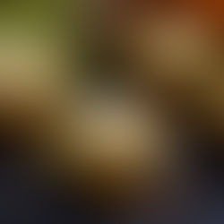 Pumpkin Cream Cheese Muffins