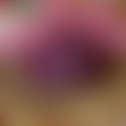 Pomegranate Coated Goat Cheese Ornament