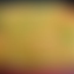 Must-Try Hakka Noodles