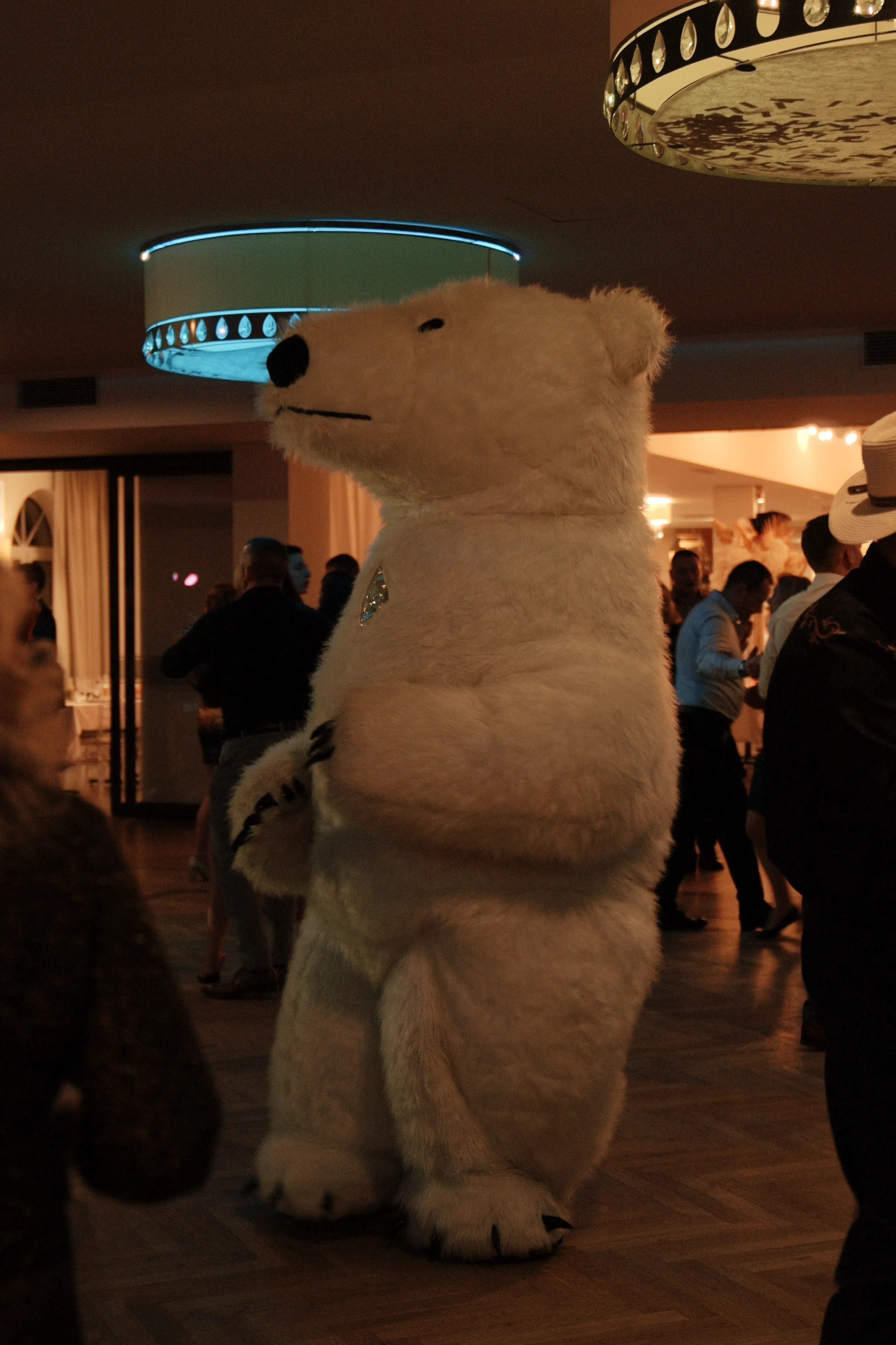 Biały miś tańczący na parkiecie, jedna z atrakcji imprezy andrzejkowej Gościńca w Czuszowie