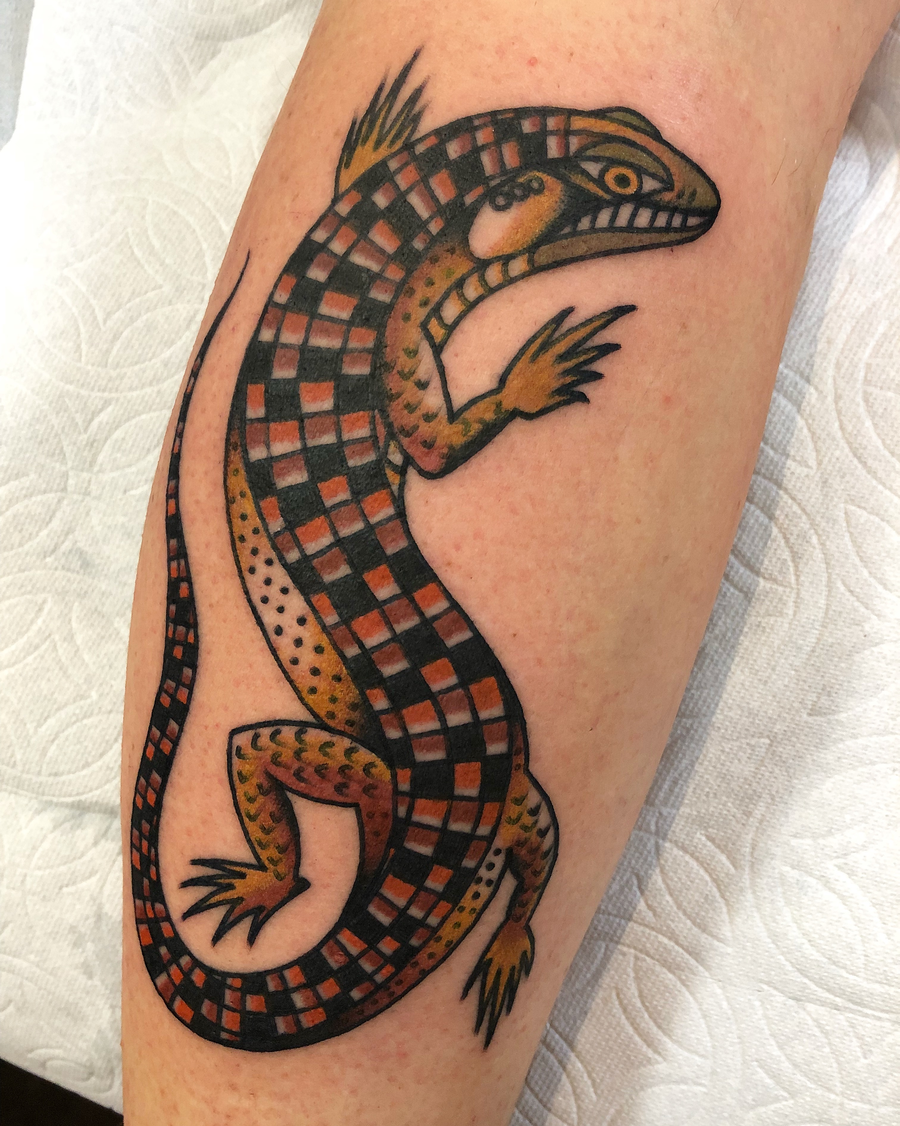 patterned lizard