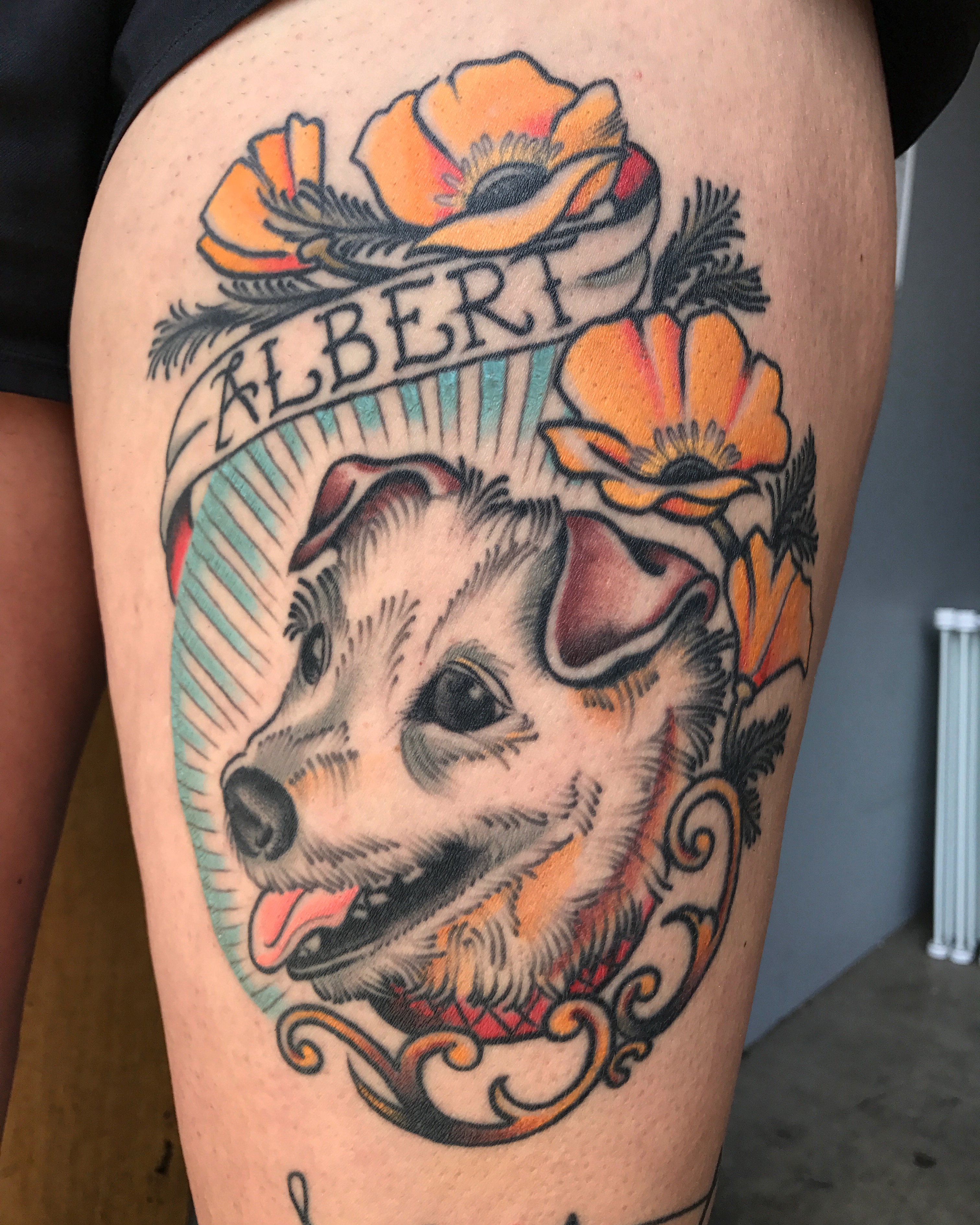 healed dog portrait