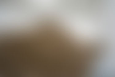 SPANISH PAVILION - La Biennale di Venezia 2013