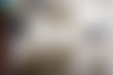 AALTO PAVILION - La Biennale di Venezia 2016