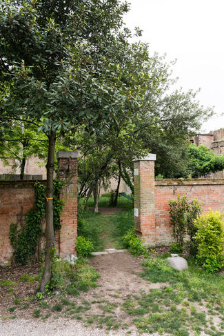 SARAH SZE - La Biennale di Venezia 2015