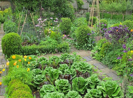 904ab5b3856554681c3e1dc6f483f093_edited.