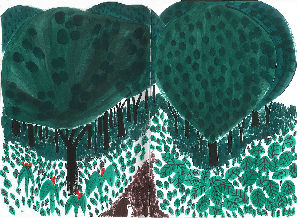 Aurora entrando al bosque.jpg