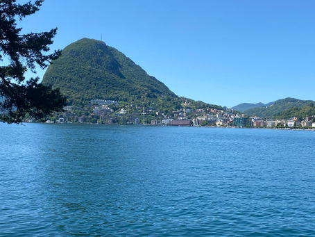 Immobilienunterhalt und Service im Tessin