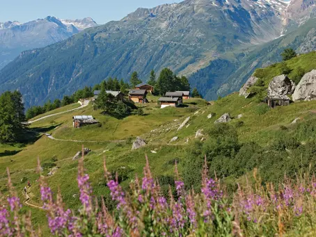 Ferienhausreinigung Lötschental