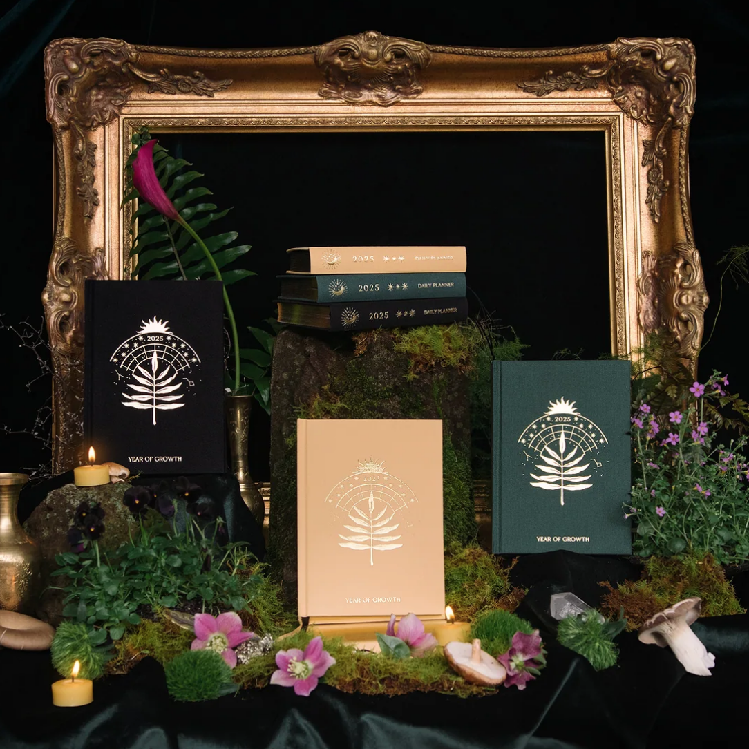 Dreamy Moons 2025 Year of Growth Book (2 color options) 🇦🇺 