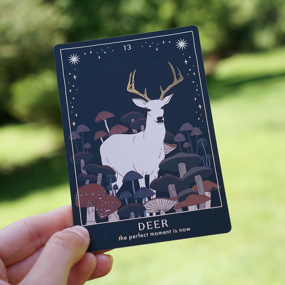 Thumbnail: Forest Tales Oracle 🇺🇸