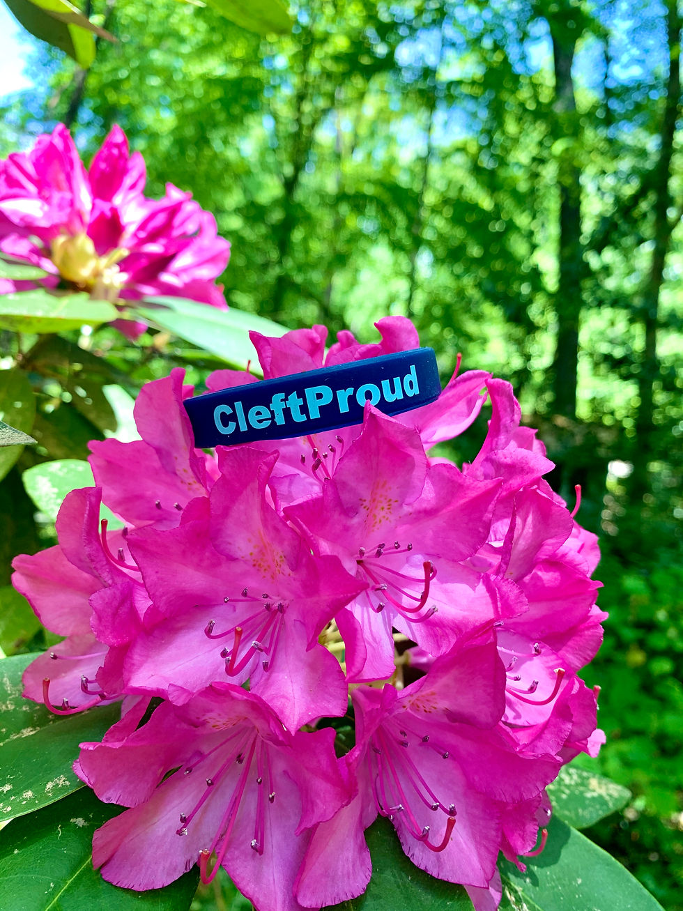 Thumbnail: CleftProud Wristband