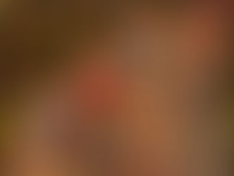 guérir notre arbre (Alejandro Jodorovsky)