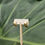 Thumbnail: Small Matte C Earring