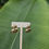 Thumbnail: Big dots Earring