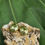 Thumbnail: Small Dome Earring
