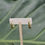 Thumbnail: Small Hook Earring