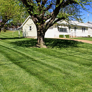 Q&A Lawn Service