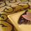 Thumbnail: Dish 1 zoom