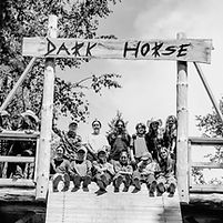 Darkhorse Pitch Deck_NZ (2).jpg