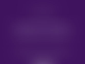 Auction Finance | Sardison Capital