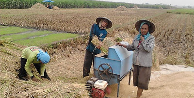 WhatsApp Image 2020-10-13 at 10.10.46.jp