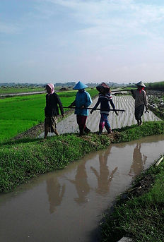 WhatsApp Image 2020-10-13 at 10.10.54 (2