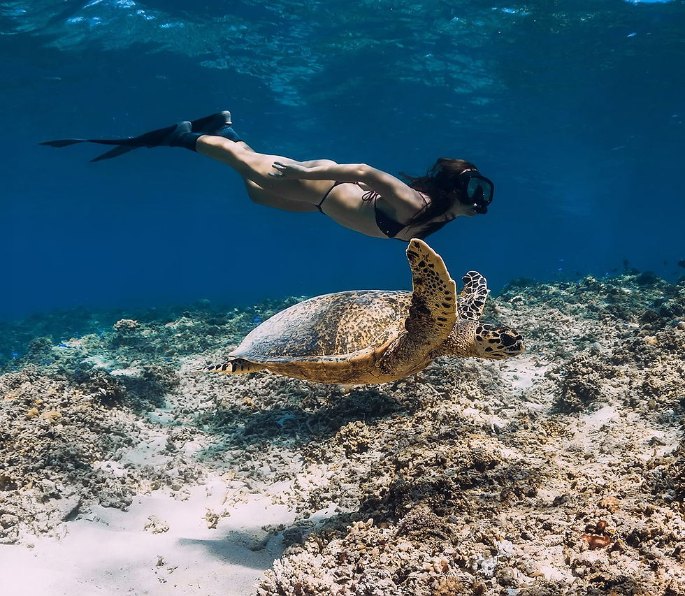 Fortis_Adventures_Travel_Islands-min.jpg