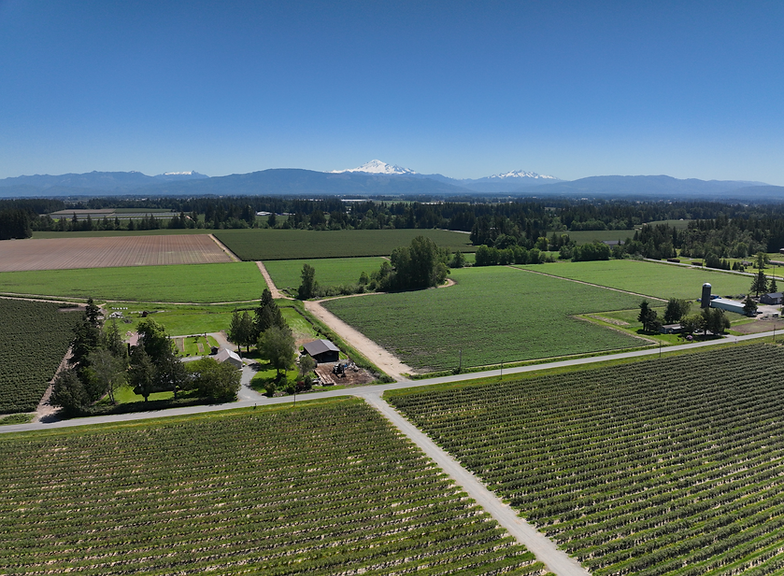 Whatcom Ariel Small.png