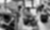 Small Collage.png