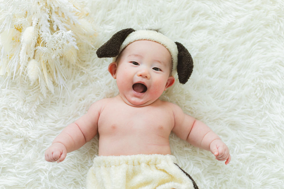 サムネイル： 【受注生産】/0-2y/ヘアバンド＆パンツセット