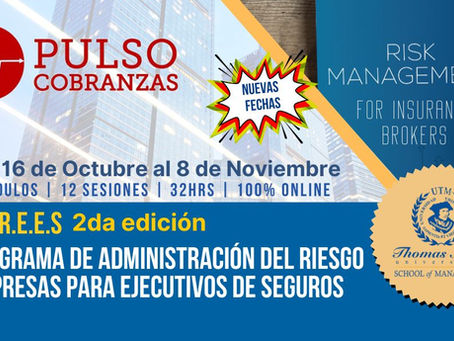 Programa de Administracion del Riesgo Empresas para Ejecutivos de Seguros