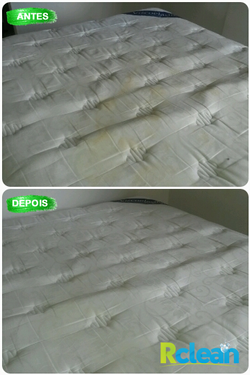 Limpeza e Higienização